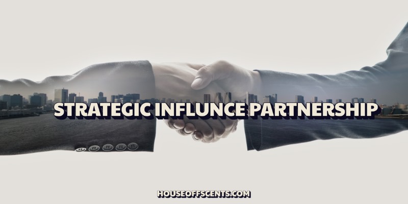 Strategic Influence Partnership